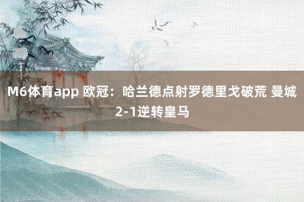 M6体育app 欧冠：哈兰德点射罗德里戈破荒 曼城2-1逆转皇马