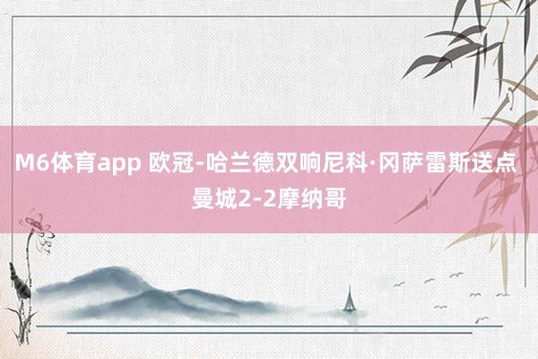 M6体育app 欧冠-哈兰德双响尼科·冈萨雷斯送点 曼城2-2摩纳哥