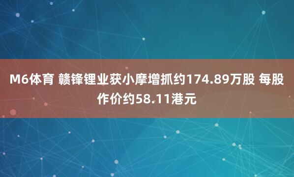 M6体育 赣锋锂业获小摩增抓约174.89万股 每股作价约58.11港元