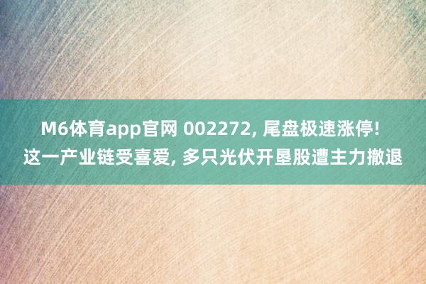 M6体育app官网 002272， 尾盘极速涨停! 这一产业链受喜爱， 多只光伏开垦股遭主力撤退