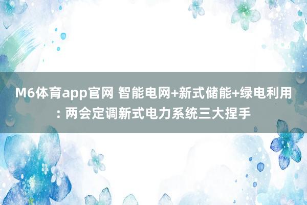 M6体育app官网 智能电网+新式储能+绿电利用: 两会定调新式电力系统三大捏手