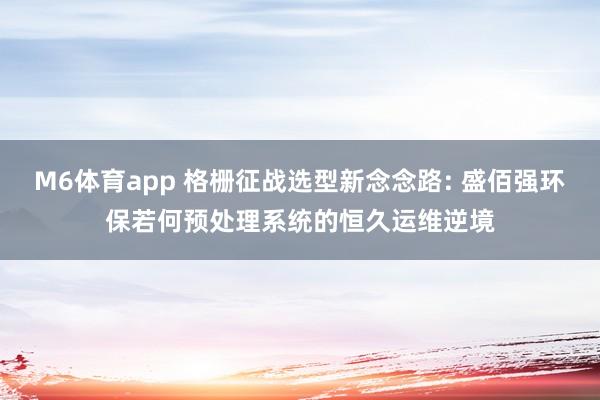 M6体育app 格栅征战选型新念念路: 盛佰强环保若何预处理系统的恒久运维逆境
