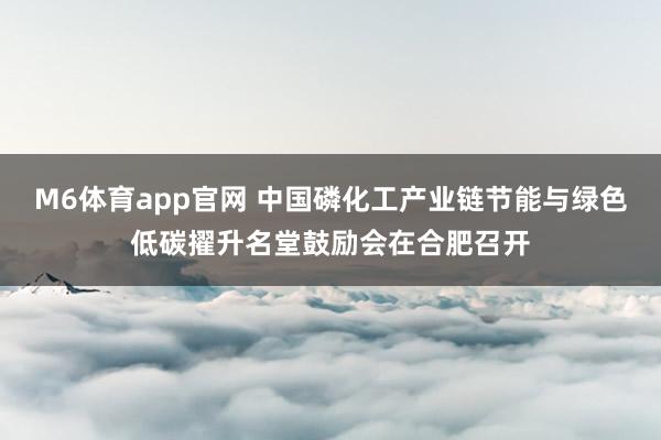 M6体育app官网 中国磷化工产业链节能与绿色低碳擢升名堂鼓励会在合肥召开