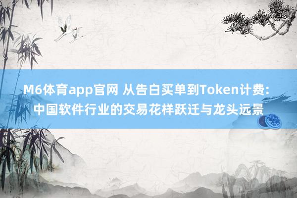 M6体育app官网 从告白买单到Token计费: 中国软件行业的交易花样跃迁与龙头远景
