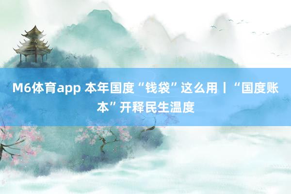 M6体育app 本年国度“钱袋”这么用丨“国度账本”开释民生温度