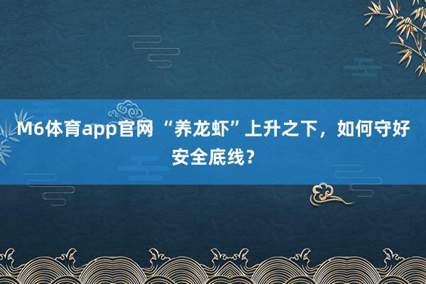 M6体育app官网 “养龙虾”上升之下，如何守好安全底线？