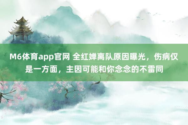 M6体育app官网 全红婵离队原因曝光，伤病仅是一方面，主因可能和你念念的不雷同
