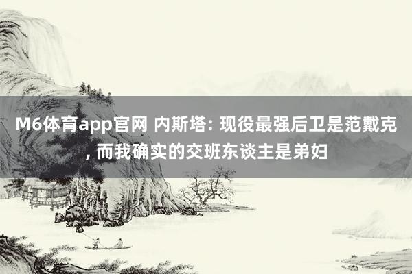 M6体育app官网 内斯塔: 现役最强后卫是范戴克， 而我确实的交班东谈主是弟妇