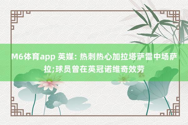 M6体育app 英媒: 热刺热心加拉塔萨雷中场萨拉;球员曾在英冠诺维奇效劳