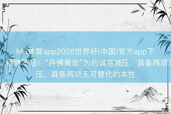 M6体育app2026世界杯(中国)官方app下载 掘金大换血，稳赚不赔！“丹佛黄忠”为约诚笃减压，具备两项无可替代的本性