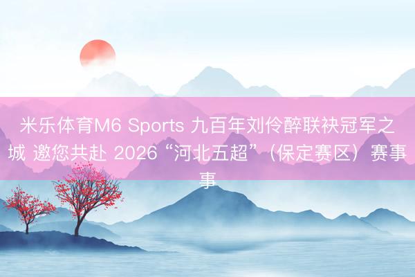 米乐体育M6 Sports 九百年刘伶醉联袂冠军之城 邀您共赴 2026 “河北五超”（保定赛区）赛事