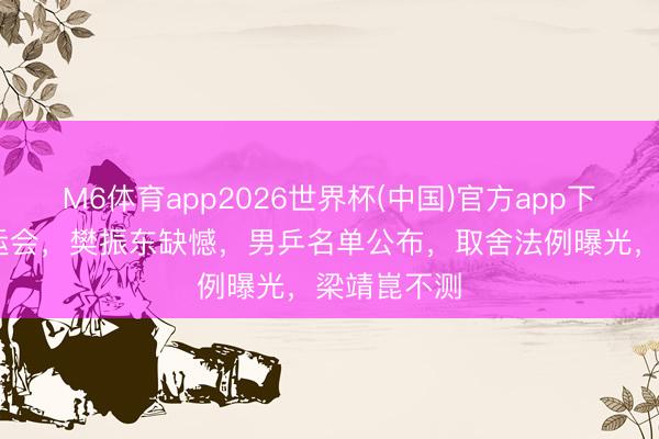 M6体育app2026世界杯(中国)官方app下载 无缘亚运会，樊振东缺憾，男乒名单公布，取舍法例曝光，梁靖崑不测