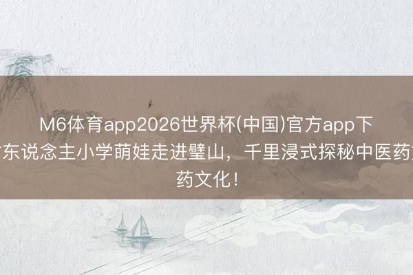 M6体育app2026世界杯(中国)官方app下载 树东说念主小学萌娃走进璧山，千里浸式探秘中医药文化！