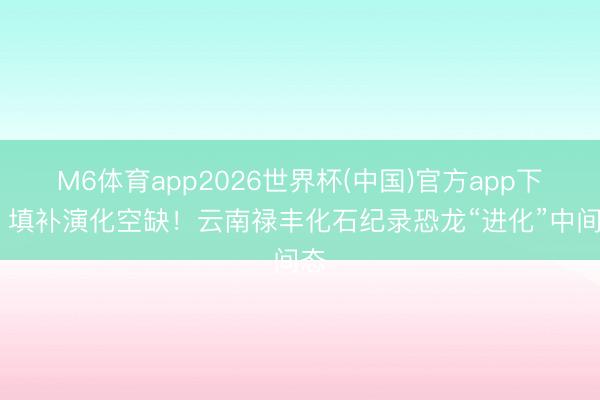 M6体育app2026世界杯(中国)官方app下载 填补演化空缺！云南禄丰化石纪录恐龙“进化”中间态