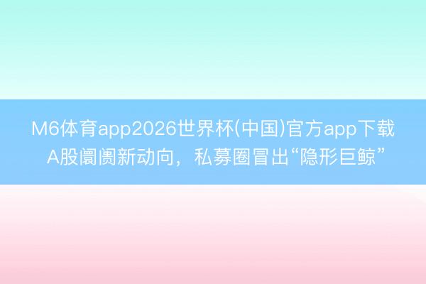 M6体育app2026世界杯(中国)官方app下载 A股阛阓新动向，私募圈冒出“隐形巨鲸”