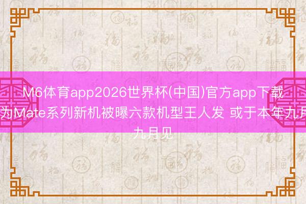 M6体育app2026世界杯(中国)官方app下载 华为Mate系列新机被曝六款机型王人发 或于本年九月见