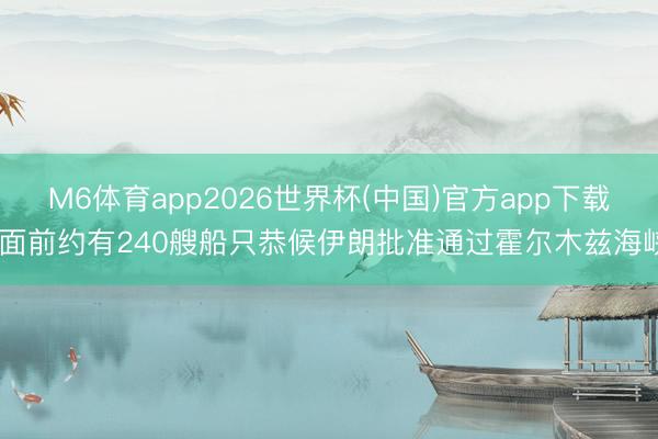M6体育app2026世界杯(中国)官方app下载 面前约有240艘船只恭候伊朗批准通过霍尔木兹海峡