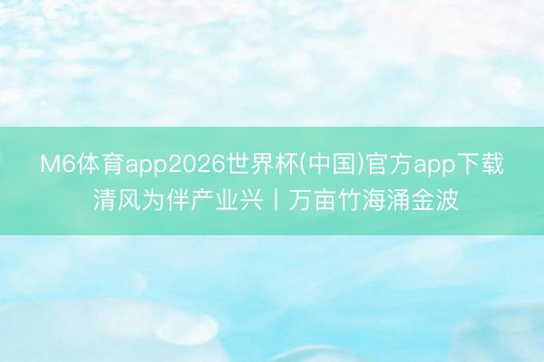 M6体育app2026世界杯(中国)官方app下载 清风为伴产业兴丨万亩竹海涌金波