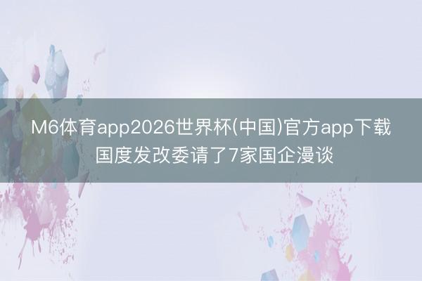 M6体育app2026世界杯(中国)官方app下载 国度发改委请了7家国企漫谈