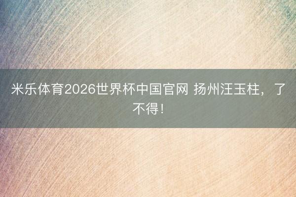 米乐体育2026世界杯中国官网 扬州汪玉柱，了不得！