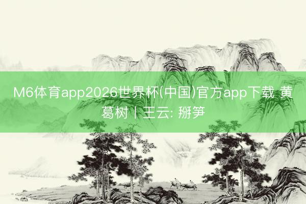 M6体育app2026世界杯(中国)官方app下载 黄葛树丨王云: 掰笋