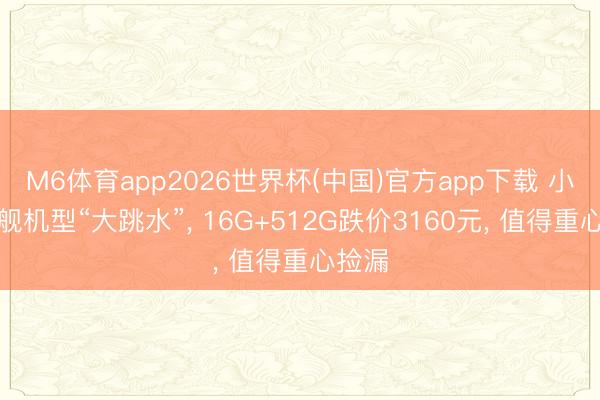 M6体育app2026世界杯(中国)官方app下载 小米旗舰机型“大跳水”， 16G+512G跌价3160元， 值得重心捡漏