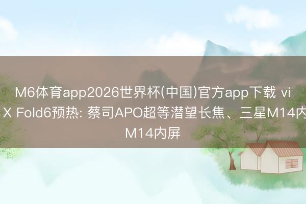 M6体育app2026世界杯(中国)官方app下载 vivo X Fold6预热: 蔡司APO超等潜望长焦、三星M14内屏