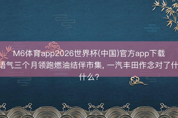 M6体育app2026世界杯(中国)官方app下载 一语气三个月领跑燃油结伴市集， 一汽丰田作念对了什么?