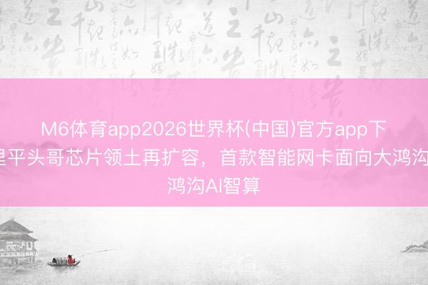 M6体育app2026世界杯(中国)官方app下载 阿里平头哥芯片领土再扩容，首款智能网卡面向大鸿沟AI智算